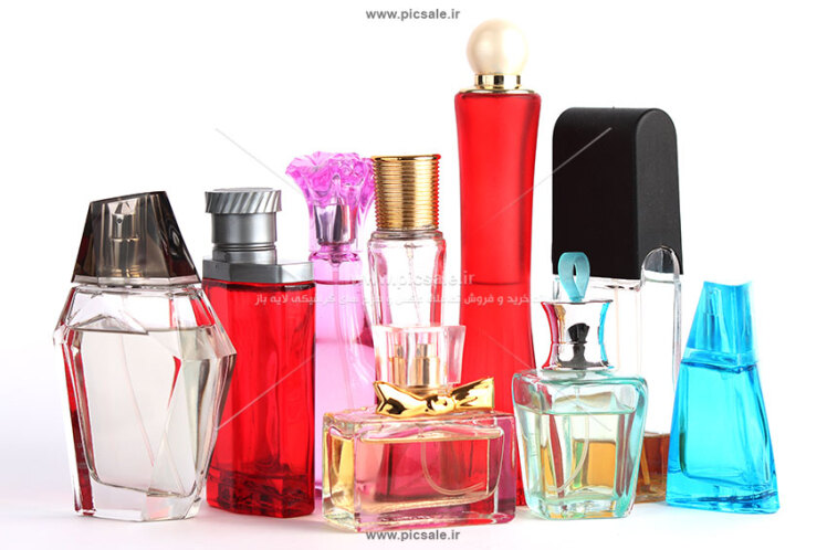 The best essential oil producing companies in the world